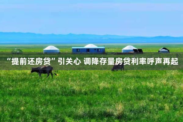 “提前还房贷”引关心 调降存量房贷利率呼声再起