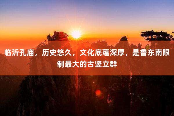 临沂孔庙，历史悠久，文化底蕴深厚，是鲁东南限制最大的古竖立群