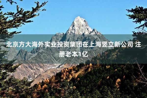 北京方大海外实业投资集团在上海竖立新公司 注册老本1亿