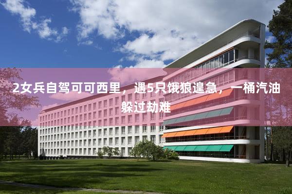 2女兵自驾可可西里，遇5只饿狼遑急，一桶汽油躲过劫难