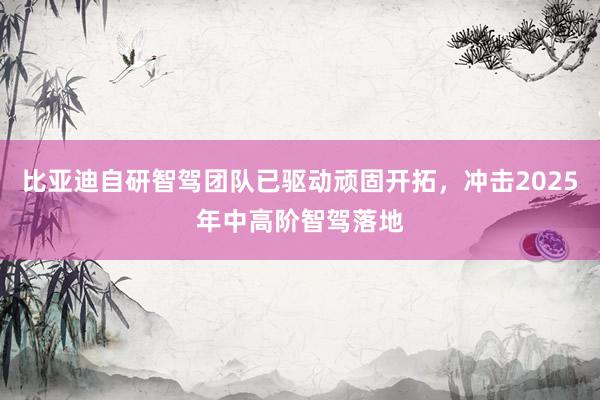 比亚迪自研智驾团队已驱动顽固开拓，冲击2025年中高阶智驾落地